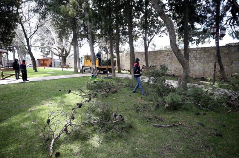 Fırtına ve kardan zarar gören ağaçlar ihtiyaç sahiplerini ısıtıyor