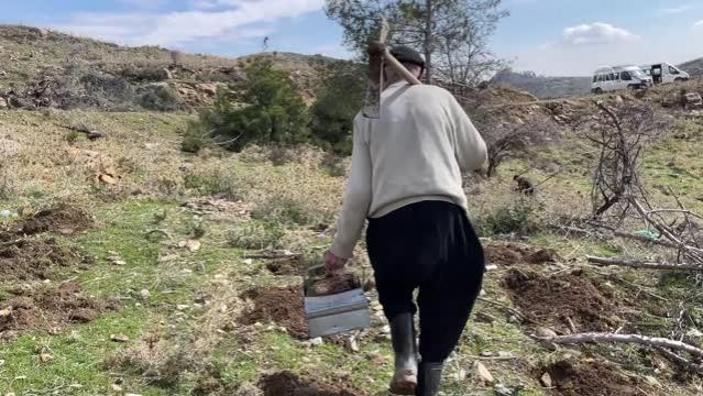 Fidan dede" 35 yılda 550 bine yakın fidanı toprakla buluşturdu