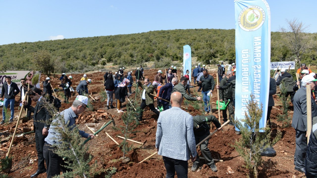 KSÜ 30. Yılında 30 Bin Fidanı Toprakla Buluşturdu