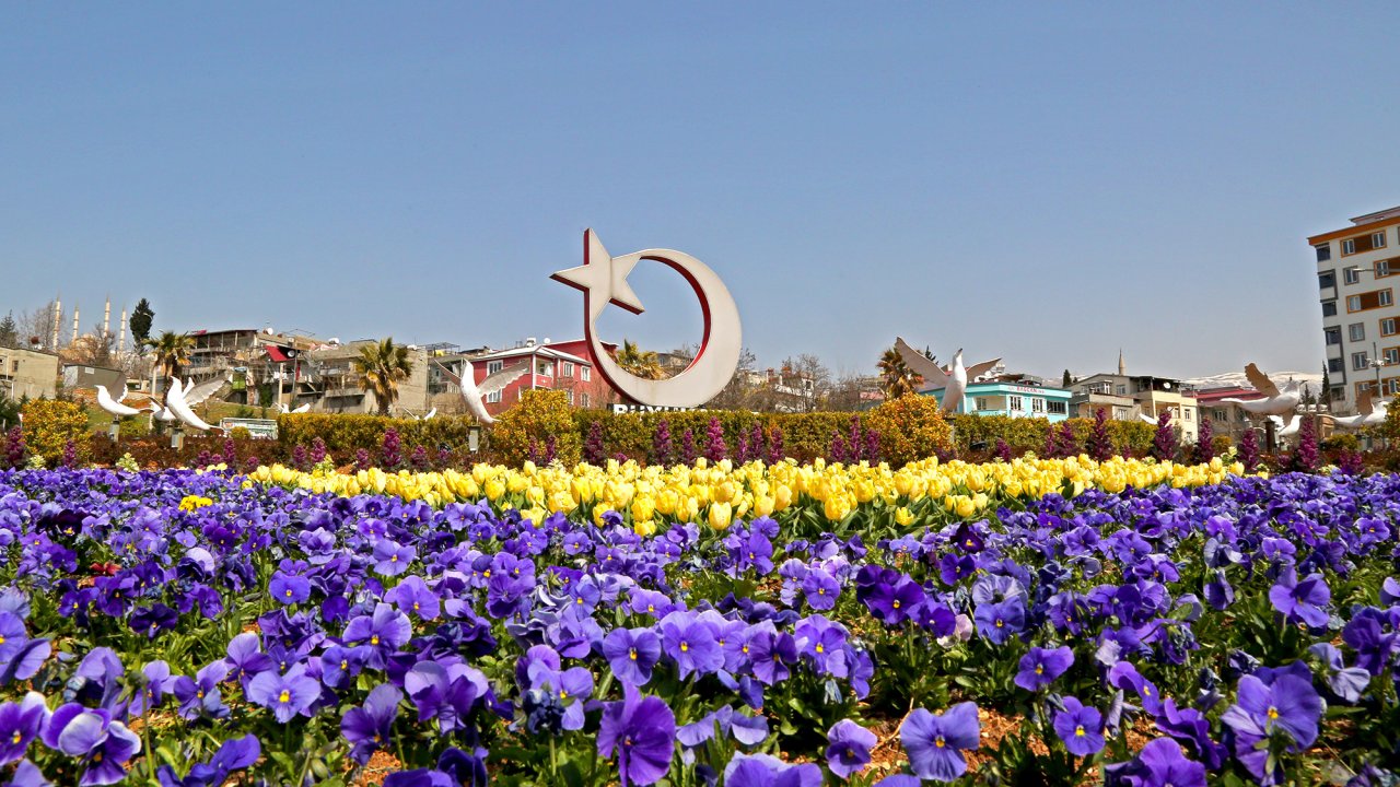 Şehir Çiçeklerle Renklendi