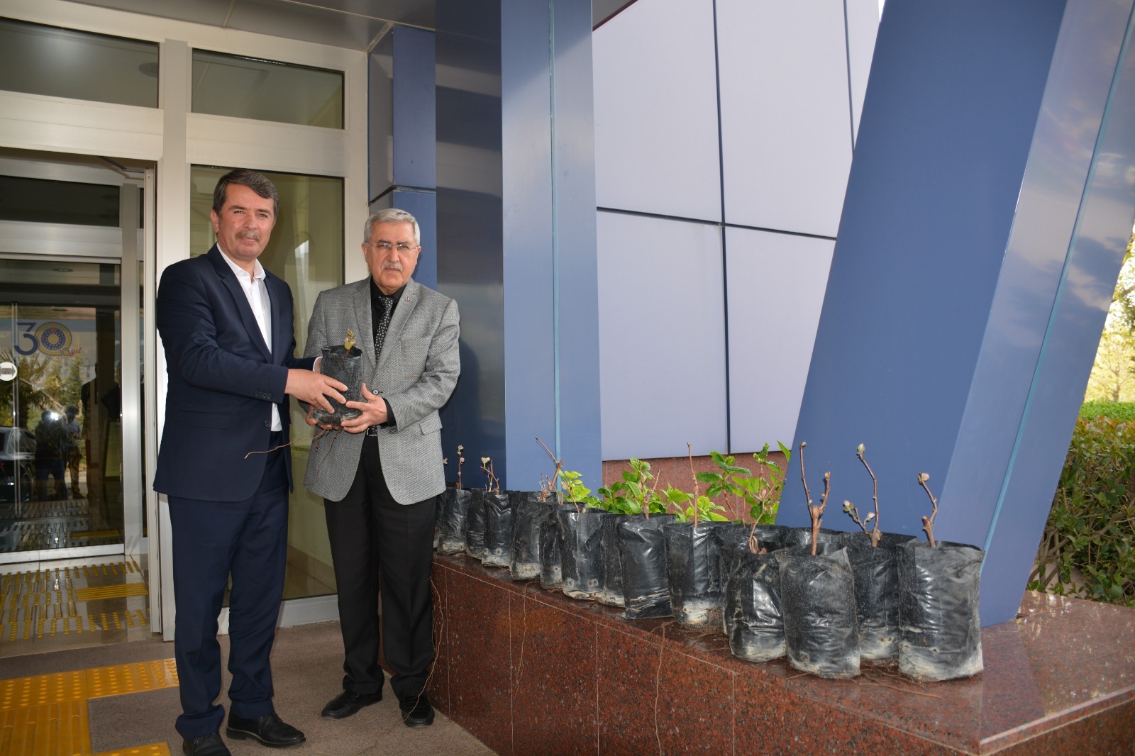 Labrusca Üzüm Yetiştiriciliği Çalışmalarına Başlandı