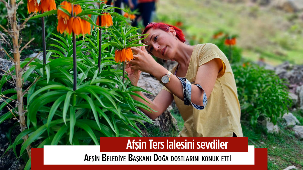 Afşin Ters lalesine hayran kaldılar