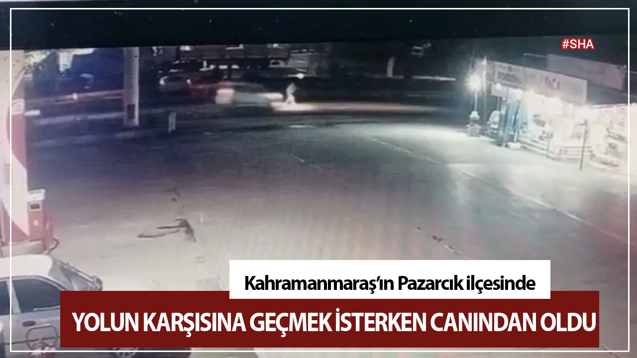 Yolun karşısına geçmek isterken canından oldu