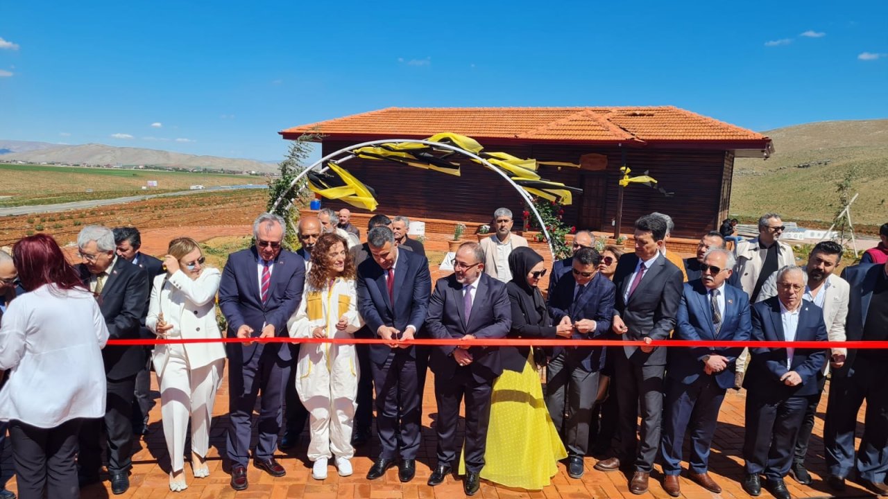 Türkiye'nin İlk Arı Evi Afşin'de Açıldı
