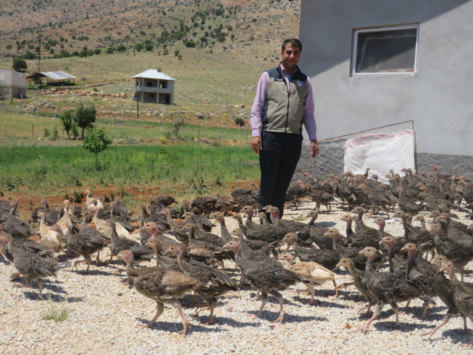 Hibe Desteği İle Faaliyete Geçen Hindi İşletmesi Ziyaret Edildi