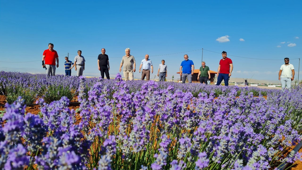 Afşin doğaseverlerin akınına uğruyor