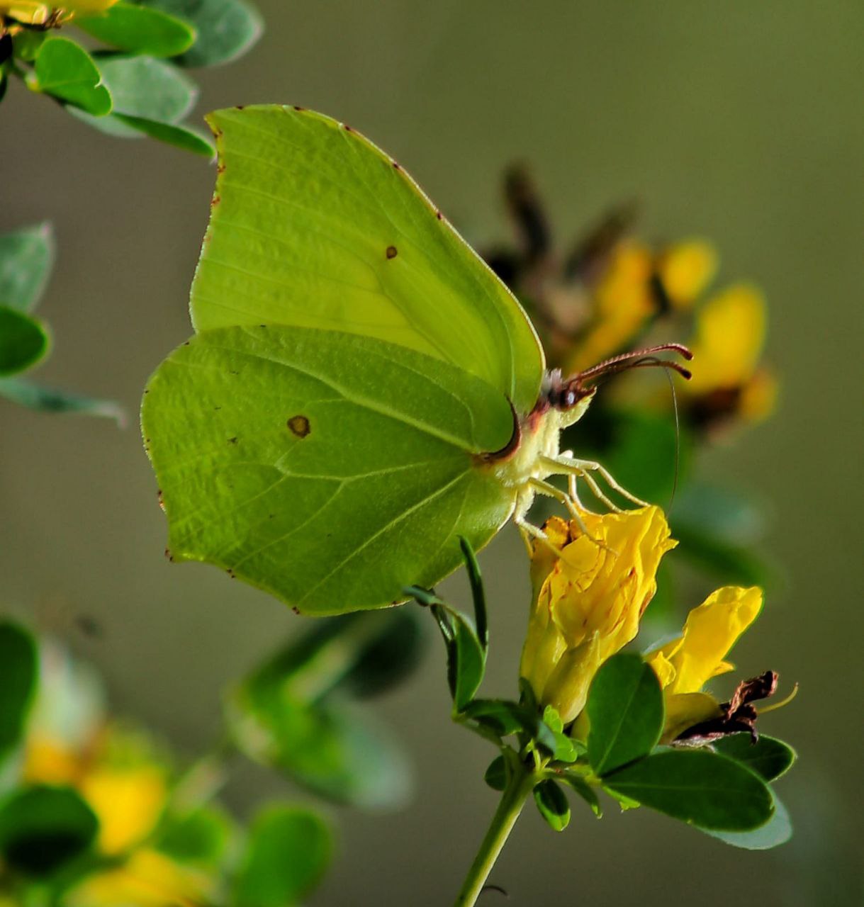Fotoğrafçılar  doğa gezisinde yeni bir vadi keşfetti