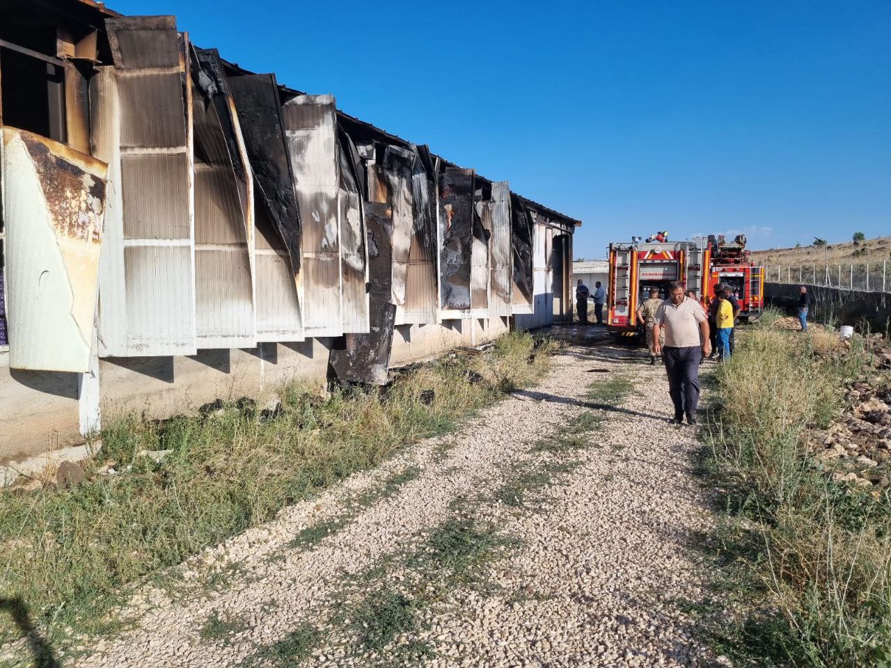 Kahramanmaraş’ta yangında 60 bin tavuk telef oldu