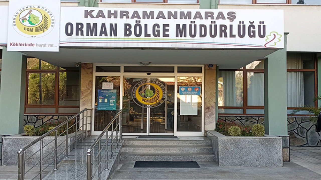 Kahramanmaraş Orman Bölge Müdürlüğünden o iddialara yalanlama!