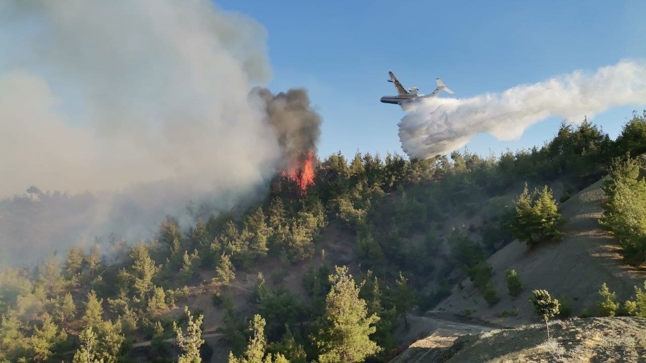 Kahramanmaraş’ta orman yangını 