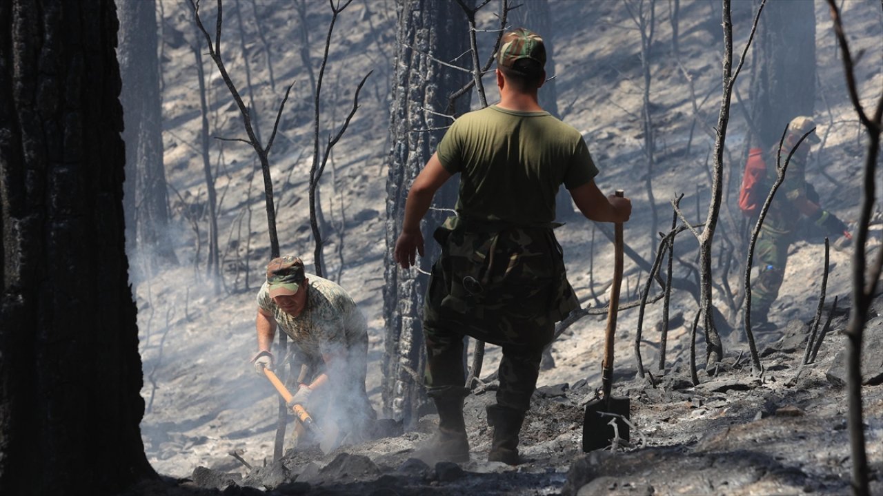 Azerbaycan'da 5 günde 5 bin hektar arazi yandı!