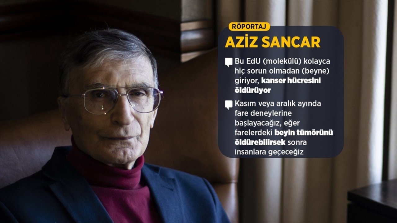 Nobel ödüllü profesör,  Sancar'dan beyin kanseri için umut!