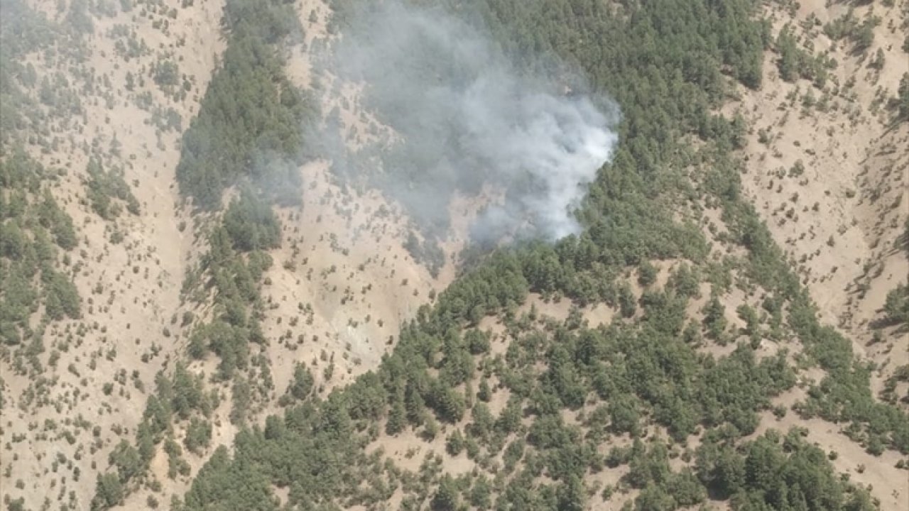 Kahramanmaraş’ta orman yangını!