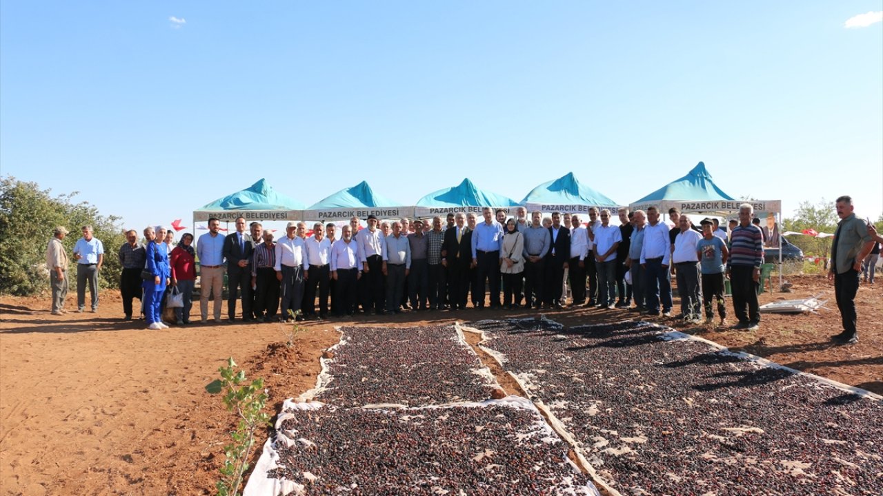 Pazarcık’ta bağ bozumu şenliği düzenlendi!