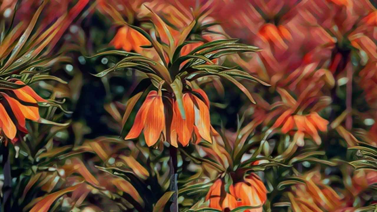 Afşin’in değerleri NFT oluyor!