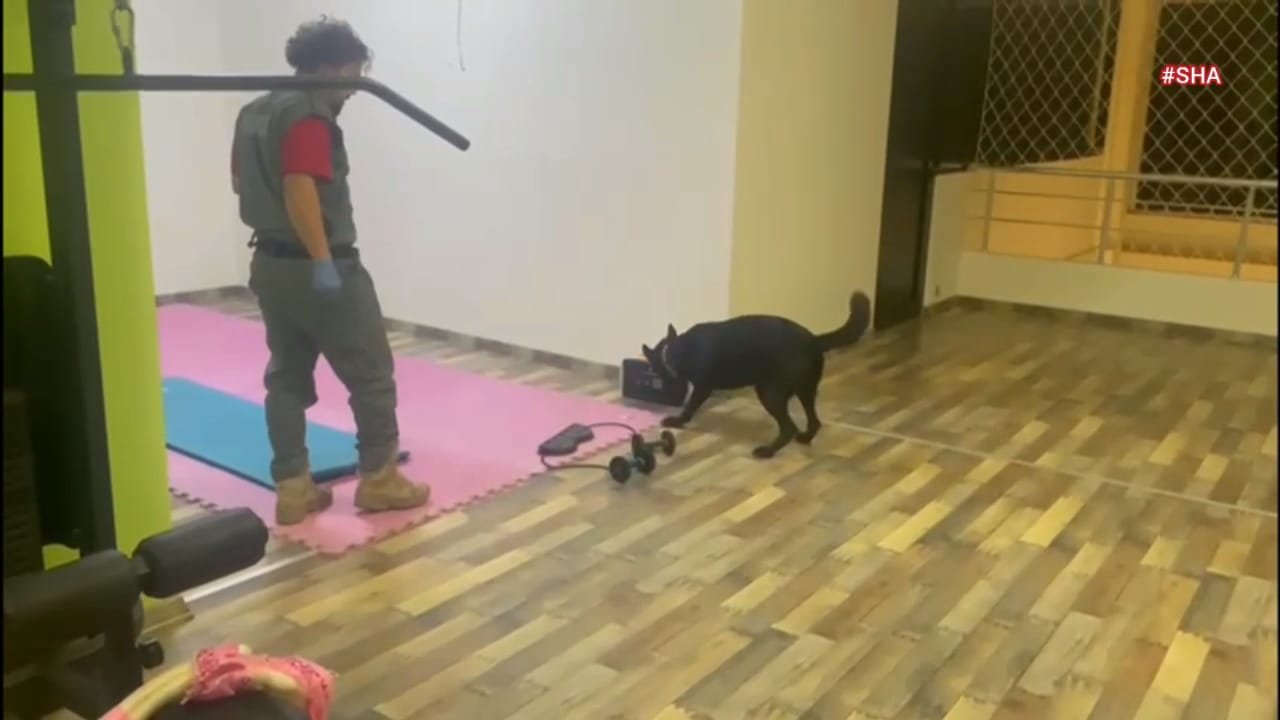 Kahramanmaraş’ta spor salonundan uyuşturucu çıktı!