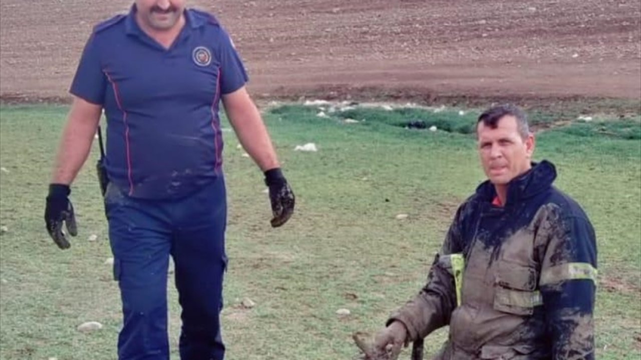 Pazarcık’ta bataklığa saplanan keçi kurtarıldı!
