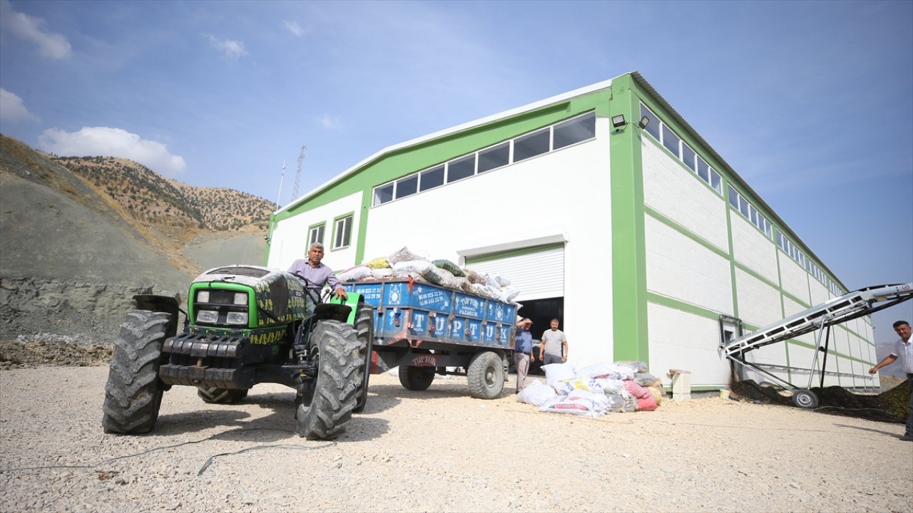 Kahramanmaraş'ta kurulan tesis cevizinin marka değerini artıracak!