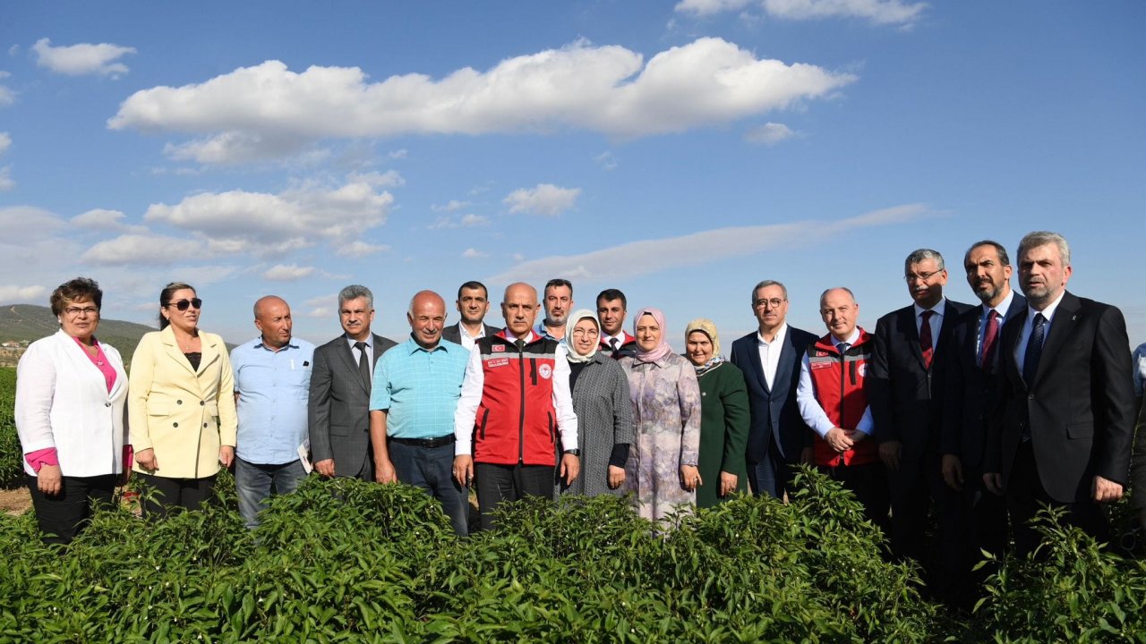 Bakan Kirişci, Kahramanmaraş'ta biber hasadı yaptı!