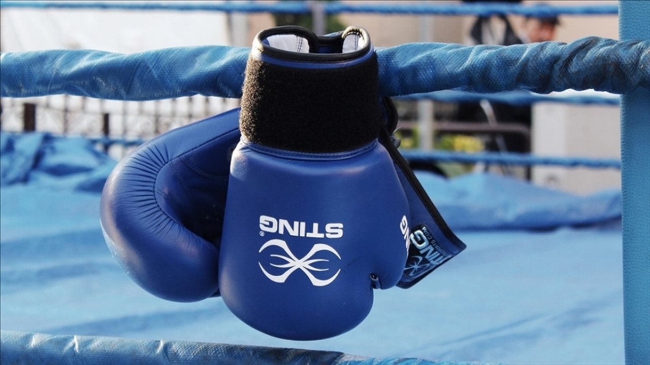 Kick boksta genç millilerden Dünya Şampiyonası'nda 49 madalya