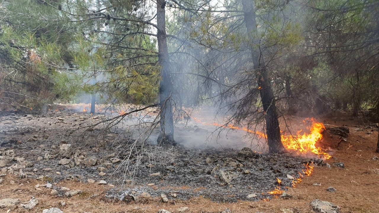 Türkoğlu’nda orman yangını!