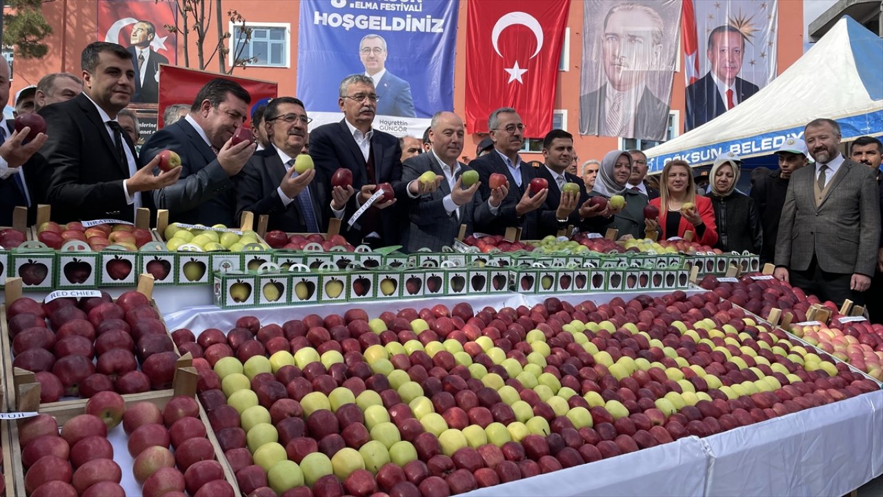 Bakan yardımcısı Göksun’da elma festivaline katıldı!