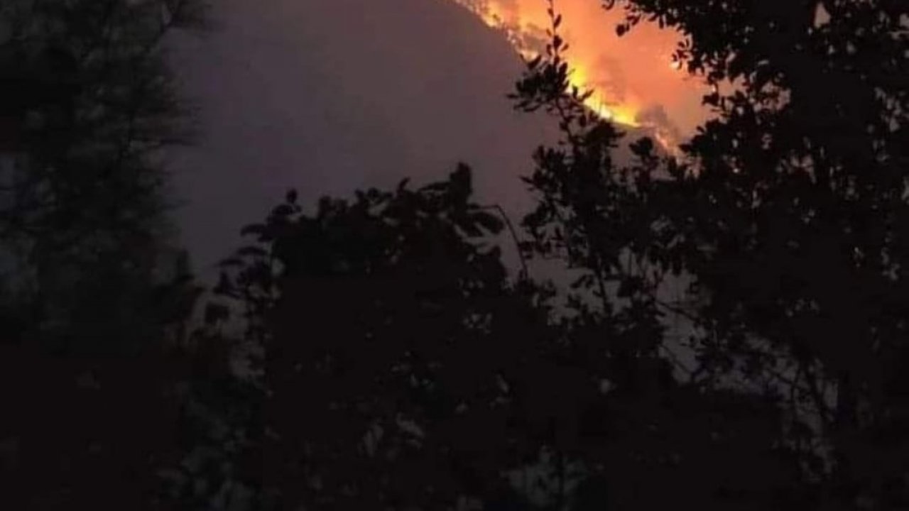 Osmaniye-Kahramanmaraş sınırında orman yangını!