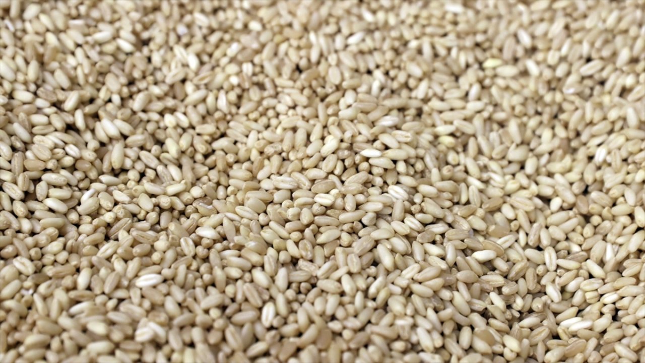 Buğday fiyatları, yüzde 5’ten fazla arttı