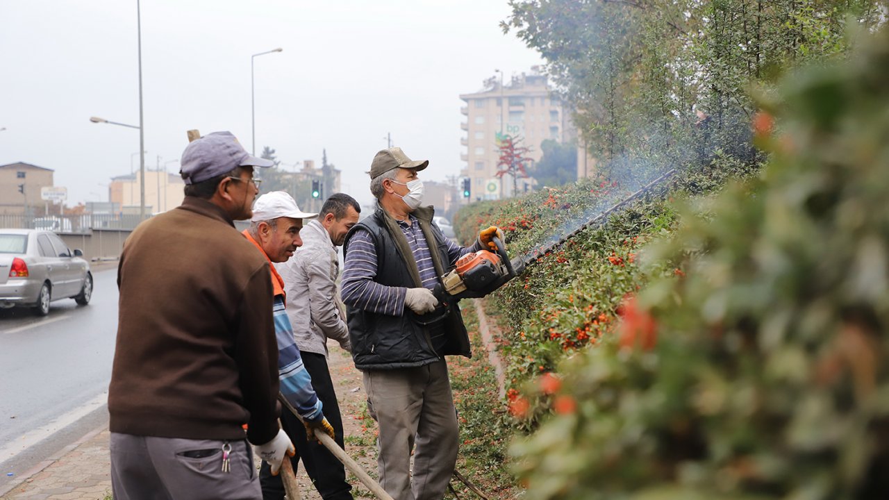 Dulkadiroğlu’nda peyzaj çalışması!
