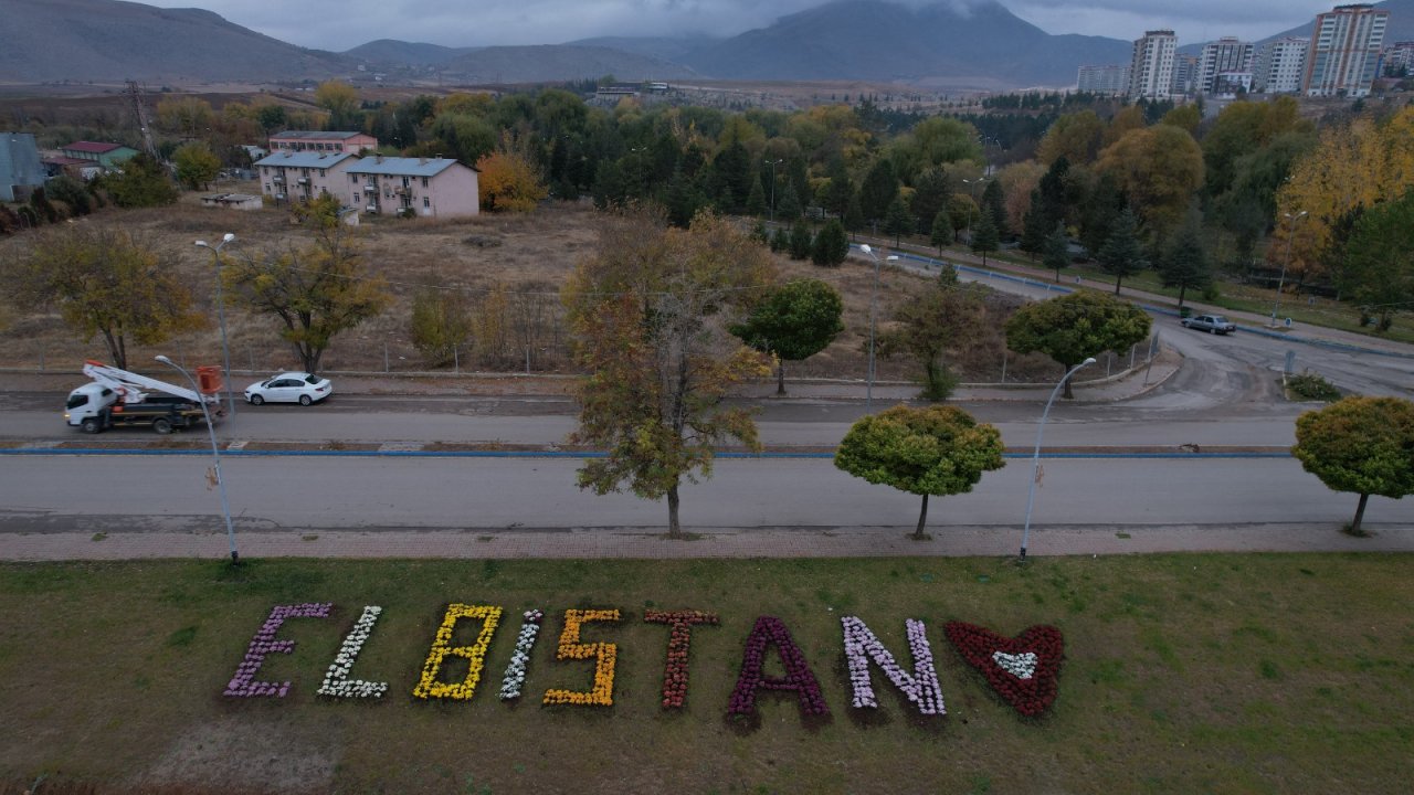 Elbistan, çiçeklerle renklendirildi