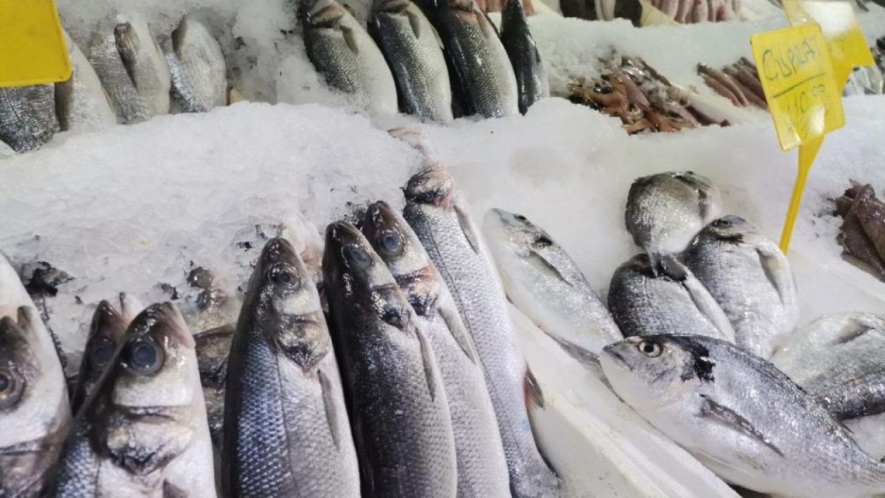 Kahramanmaraş’ta balık bolluğu yaşanıyor!