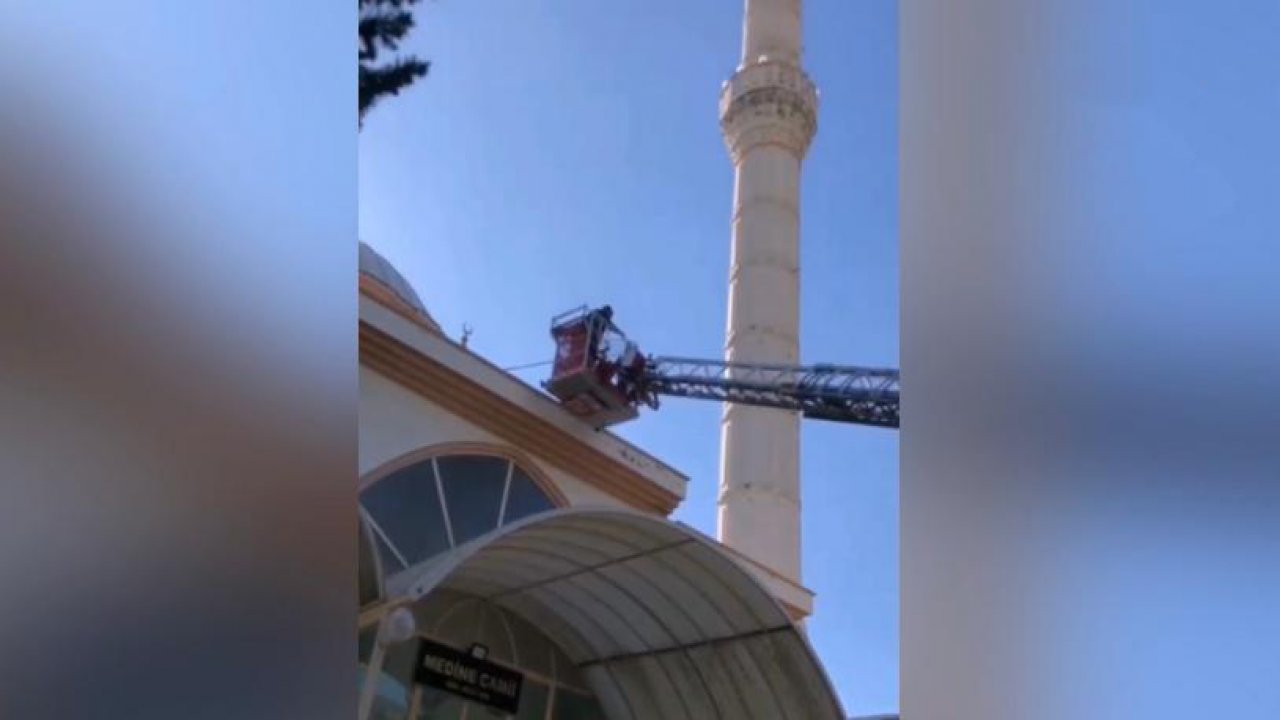 Kahramanmaraş’ta afacan kedi kubbede mahsur kaldı!