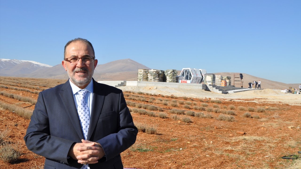 Kahramanmaraş'ta lavanta tarlasına ‘Arı Müzesi’ Yapılıyor