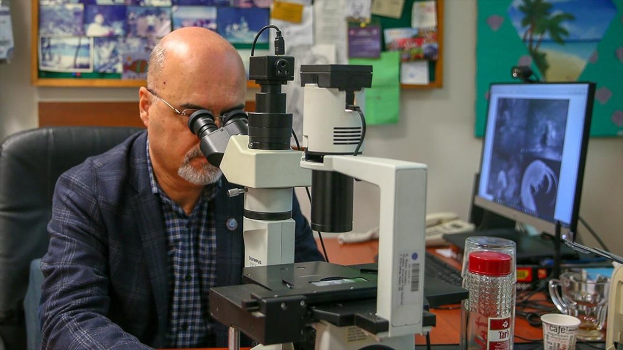 Türk bilim insanları yeni bir canlı türü keşfetti!