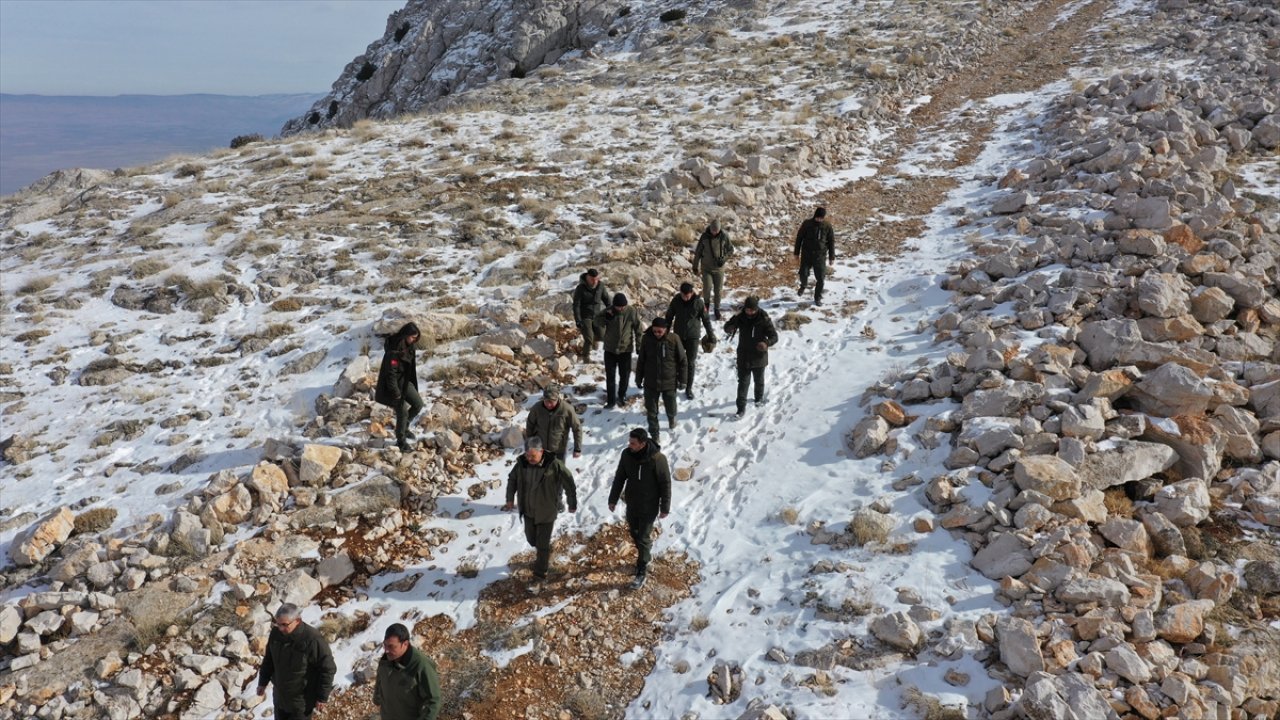 Doğa timleri Kahramanmaraş ve 4 ilde yaban hayvanları saydı!
