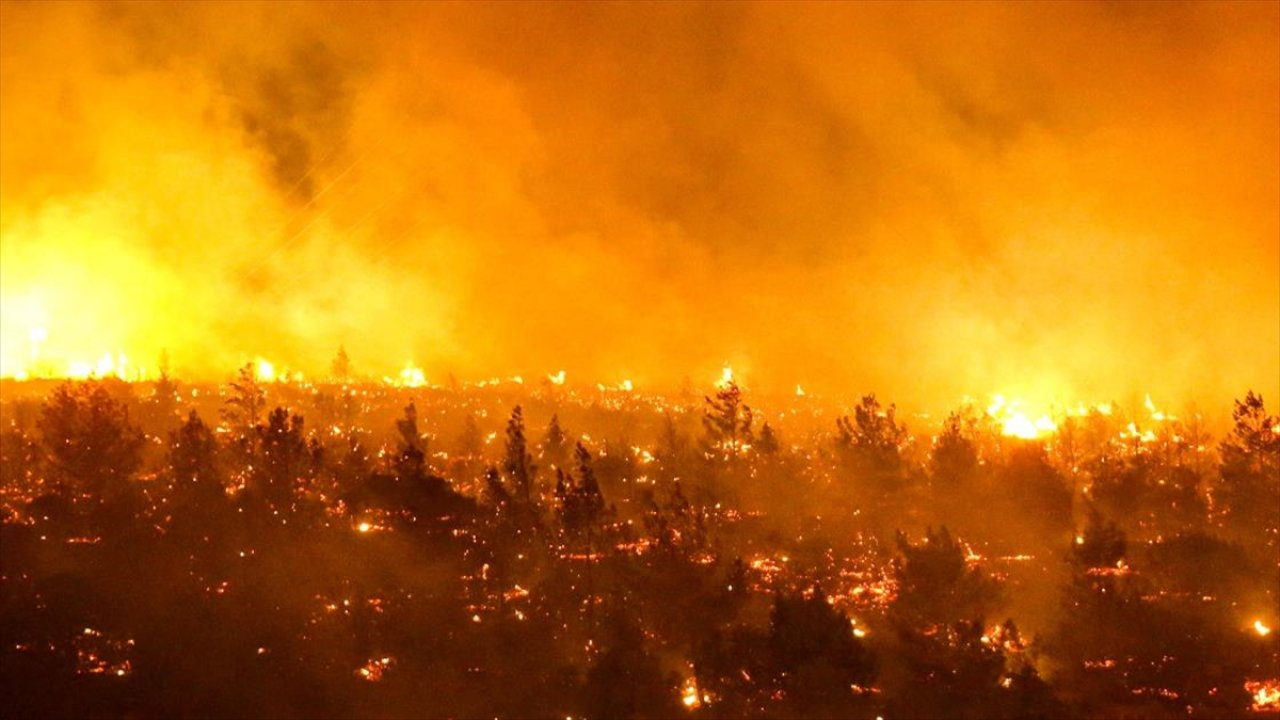 Orman yangınında 13 kişi öldü!