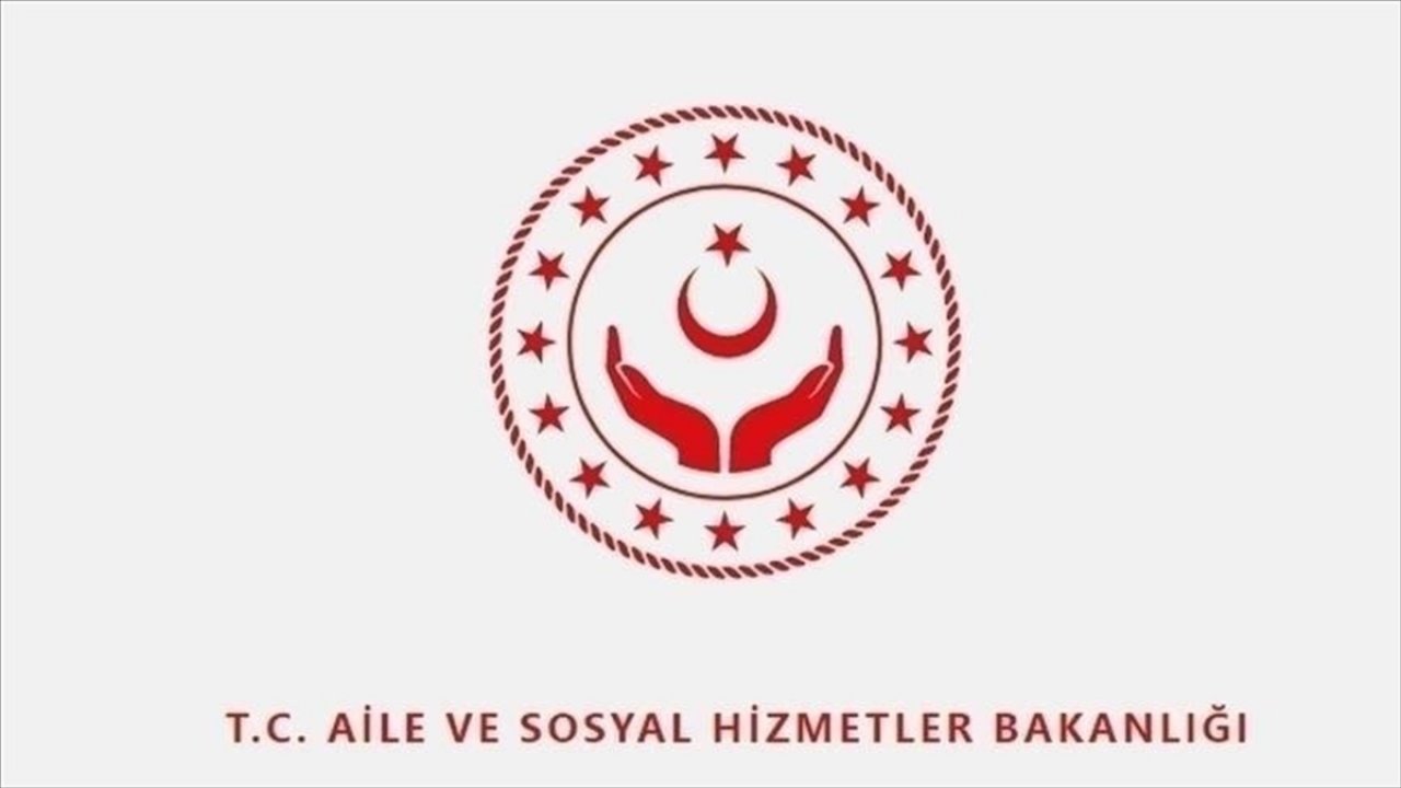 Aile ve Sosyal Hizmetler Bakanlığınca refakatsiz çocuklar için sorgu ekranı açıldı