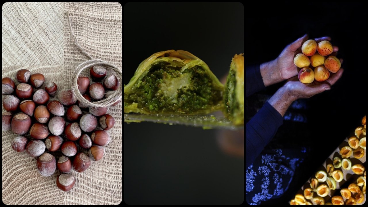 Türkiye'nin coğrafi değerleri Avrupa'da tescil sırasında