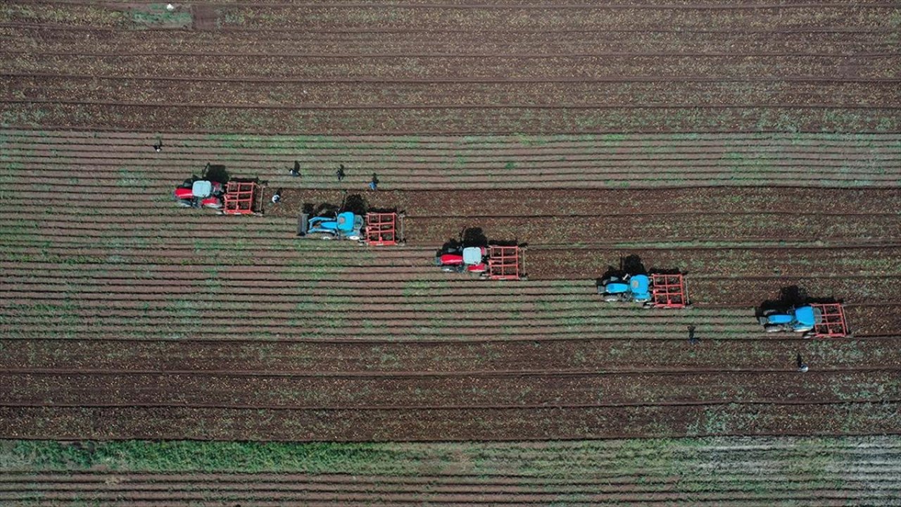 Tarım ve orman alanlarında düzenlemeleri içeren kanun Resmi Gazete'de!