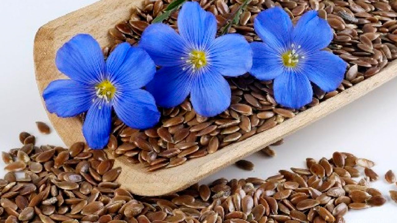 Keten tohumu Şeker Hastaları için kurtarıcı olabilir