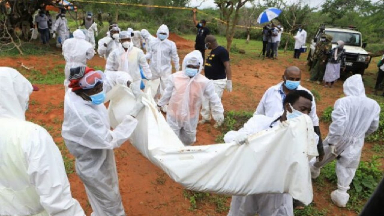 Orman’da 47 ceset bulundu!