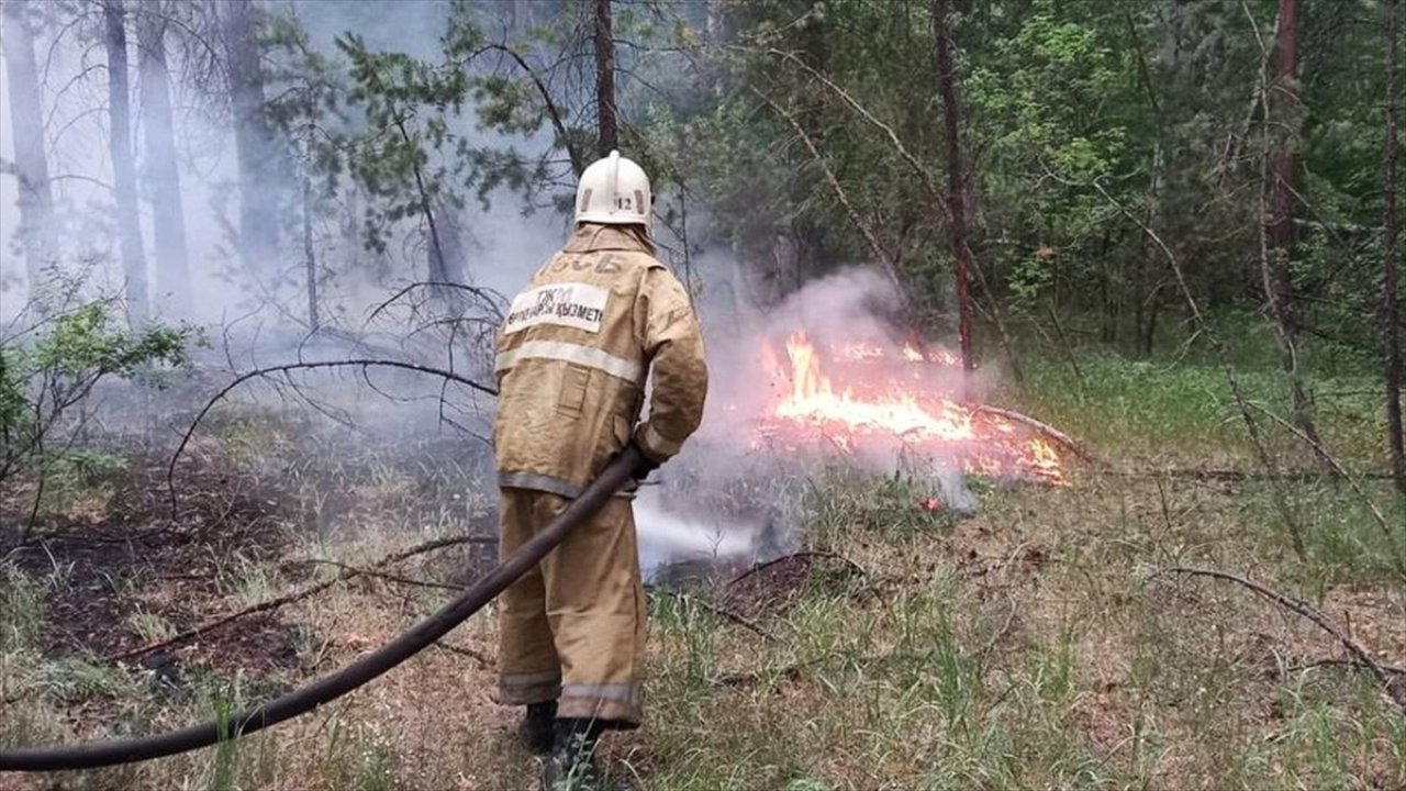 Orman yangınlarında 14 işçi öldü