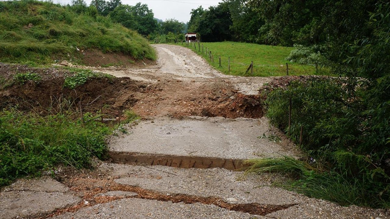 Sırbistan'da sel nedeniyle 42 şehir ve ilçede OHAL ilan edildi