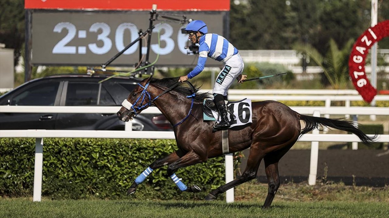 Gazi Koşusu'nu "Urfa Aslanı" kazandı