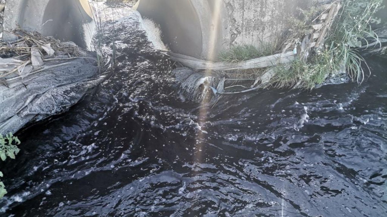 Kahramanmaraş’ta Aksu Çayı zehir akıyor!