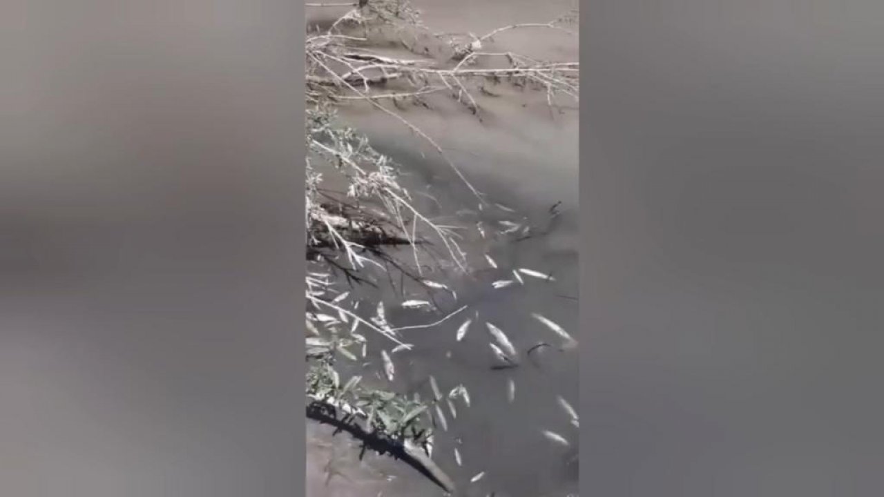 Kahramanmaraş’ta vatandaşları şoke eden manzara! İnceleme başlatıldı!