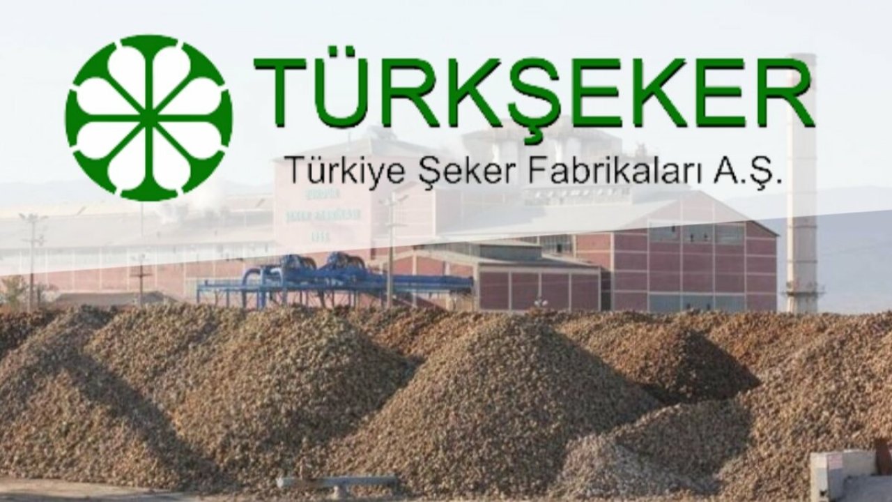 Türkşeker 10 bin işçi alacak!
