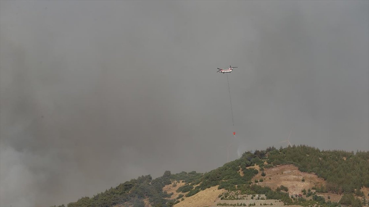Gaziantep'te orman yangını!