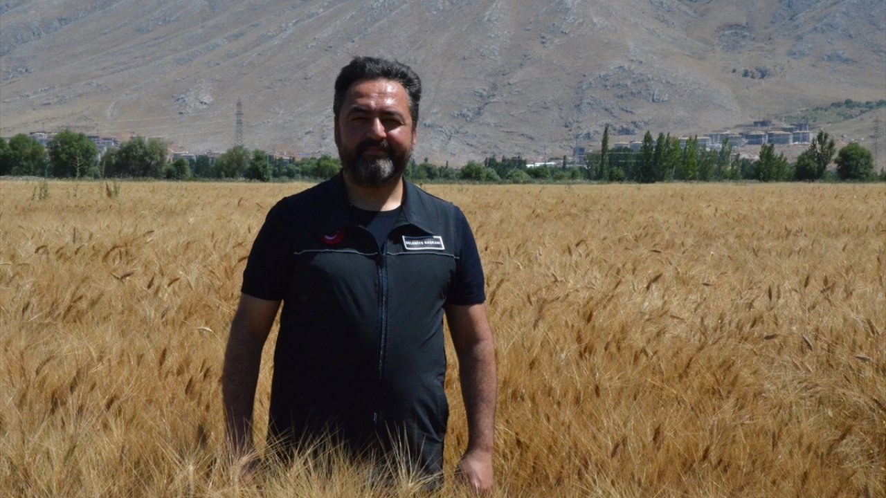 Kahramanmaraş’ta buğday üreten Belediye ücretsiz ekmek dağıtacak!
