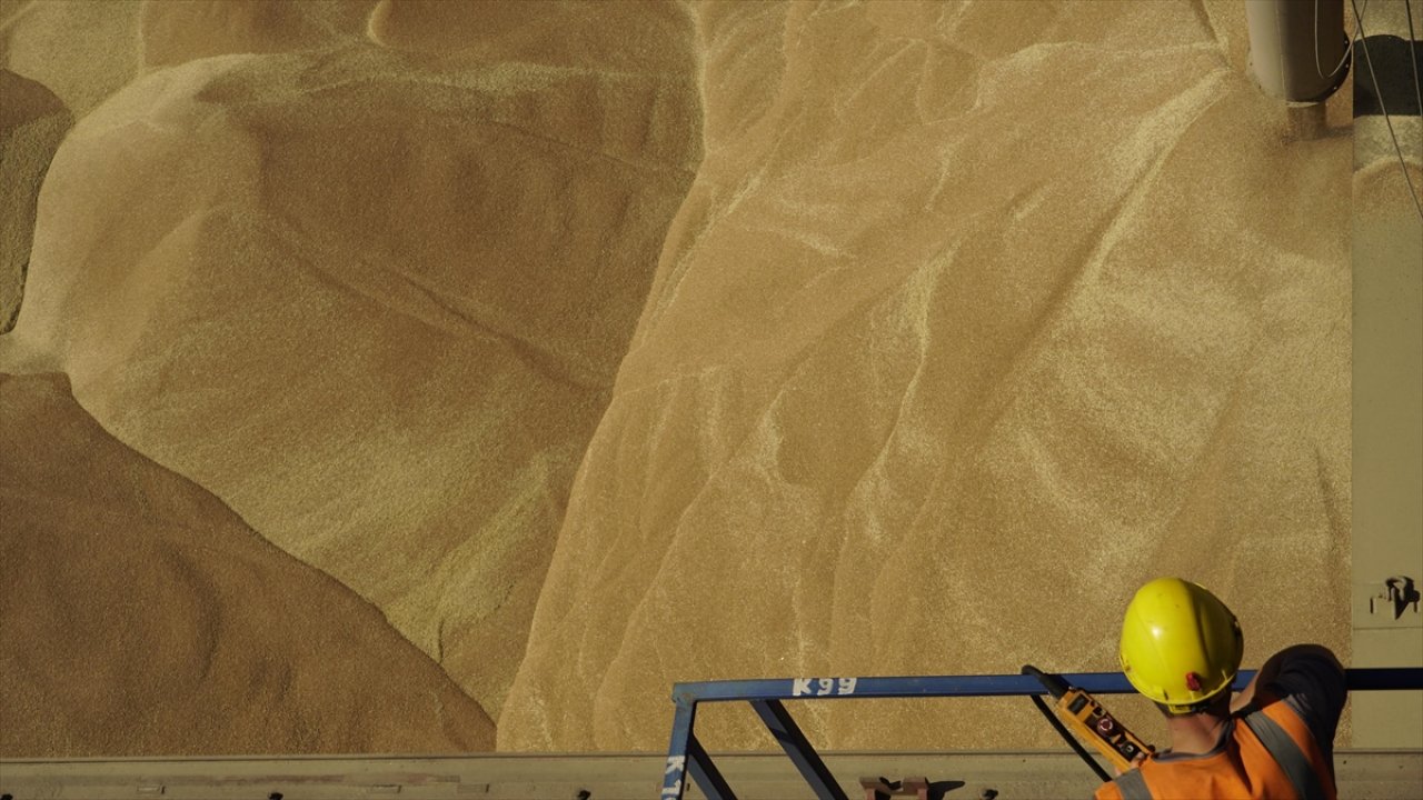 Tahıl fiyatları yüzde 15'e kadar artabilir